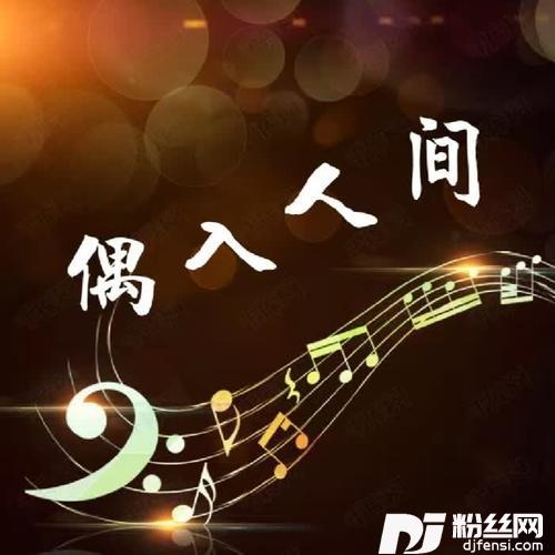 偶入人间的专辑