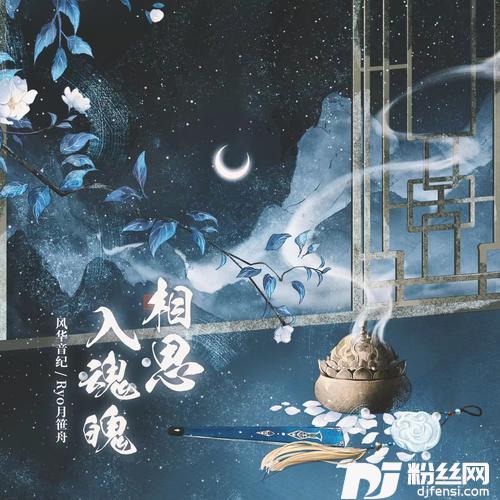 相思入魂魄DJ细霖版的专辑