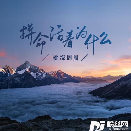 拼命活着为什么的专辑
