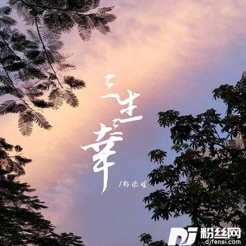 三生三幸DJ阿卓版