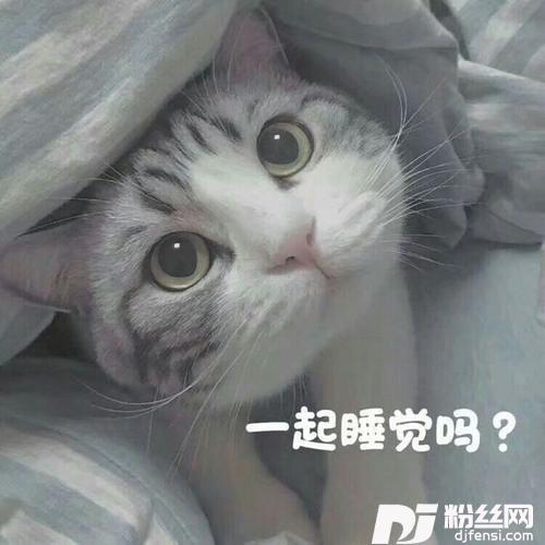 好像掉进爱情海里的专辑