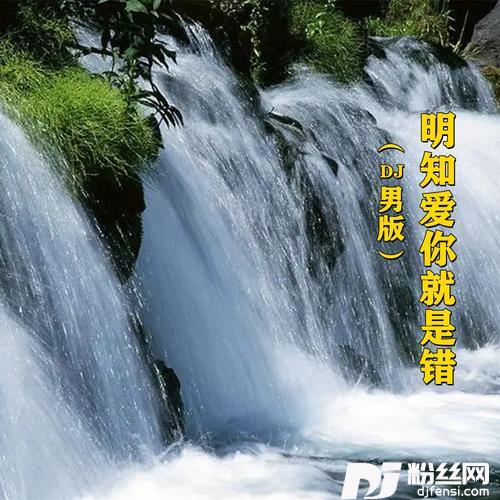 明知爱你就是错舞曲版
