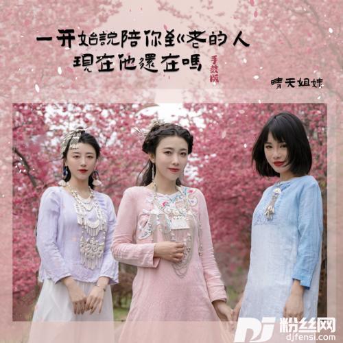 一开始说陪你到老的人现在他还在吗手鼓版