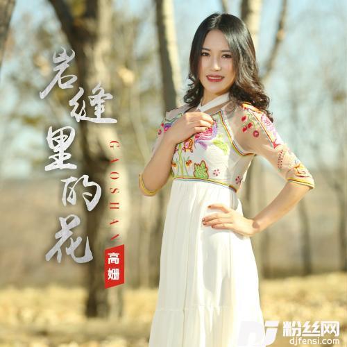 岩缝里的花