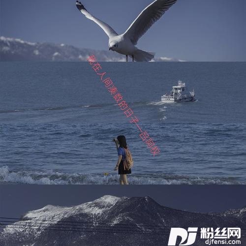 我在人间凑数的日子cover:不跑调