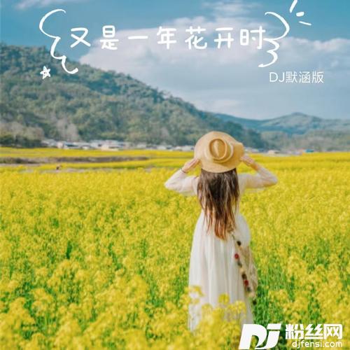 又是一年花开时-雨中百合（DJ默涵版）