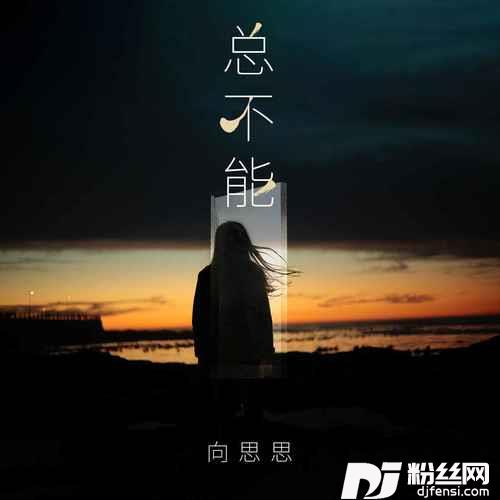 总不能DJ九零版