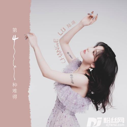 第四种难得的专辑