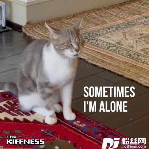 SometimesI’mAloneLonelyCat的专辑