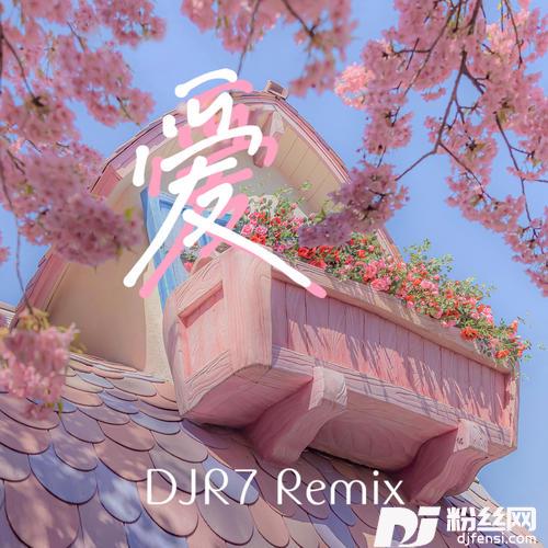 爱DJR7