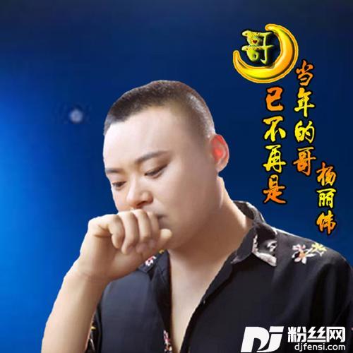 哥已不再是当年的哥（DJ版）cover:平生一顾