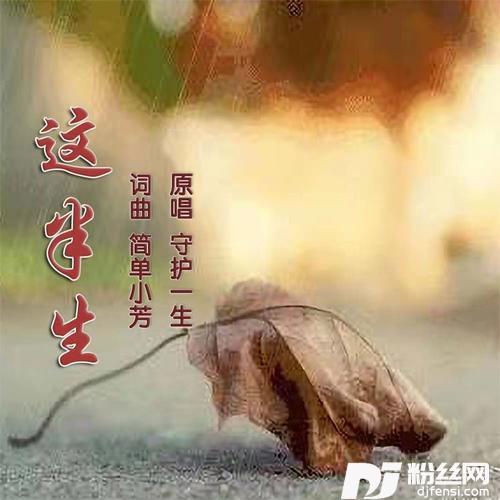 这半生