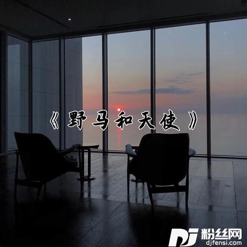 野马和天使DJ版