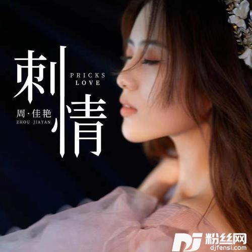 刺情dj沈念版