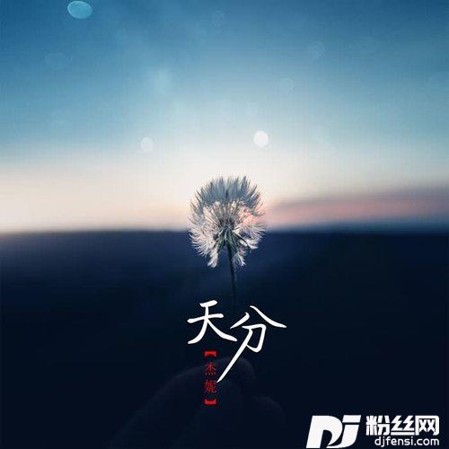 天分DJ版的专辑