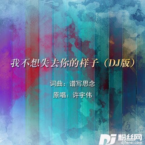 我不想失去你的样子（DJ版）