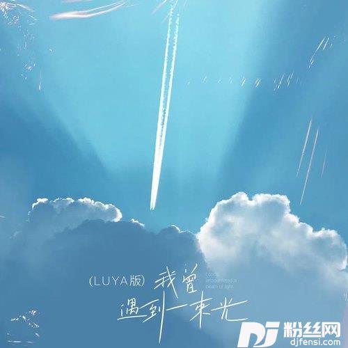 我曾遇到一束光LUYA版