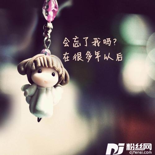 你是我不变的梦（DJ何鹍版）