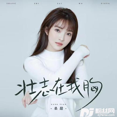 壮志在我胸女版