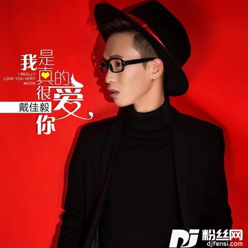 我是真的很爱你DJ佚名版