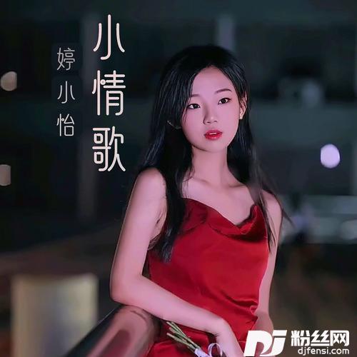放不下想又怕温柔女声版remix:陈依梦