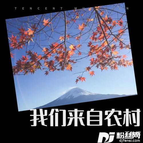 我们来自农村
