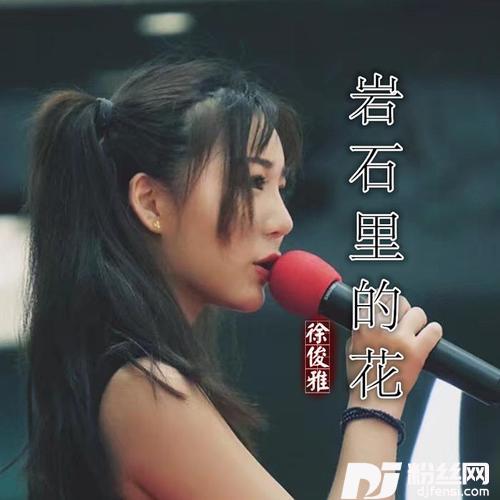 岩石里的花的专辑
