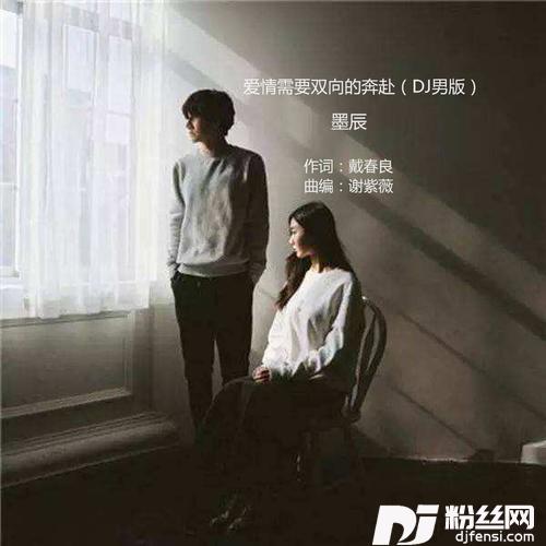 爱情需要双向的奔赴（DJ男版）的专辑