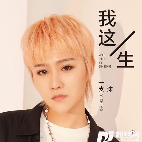 我这一生的专辑