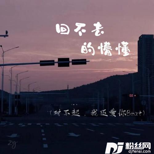 回不去的懵懂对不起，我还爱你Beat的专辑