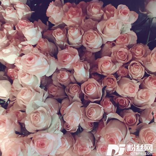 美丽女人cover:刘嘉亮