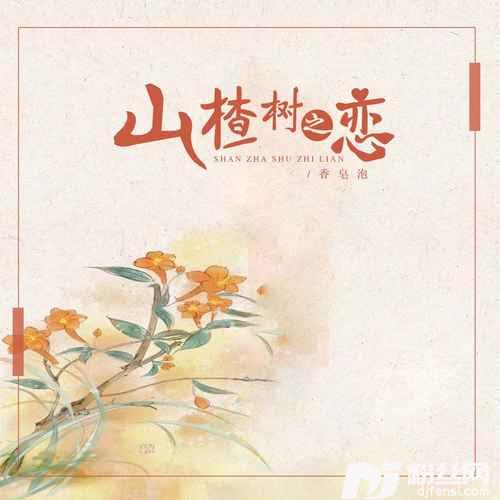山楂树之恋香皂泡版的专辑