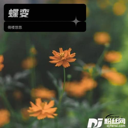 夏日倾情cover:黎明的专辑