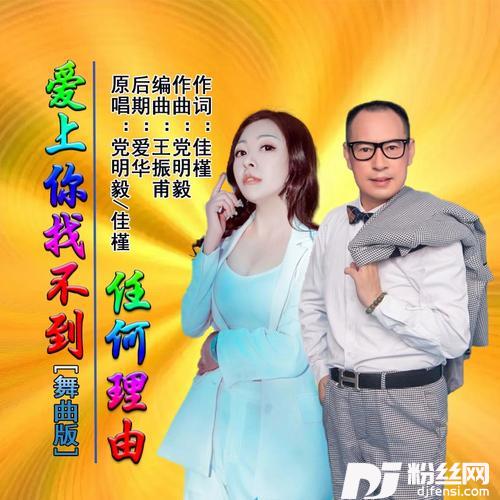 爱上你找不到任何理由舞曲版