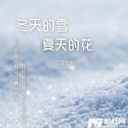 冬天的雪夏天的花的专辑