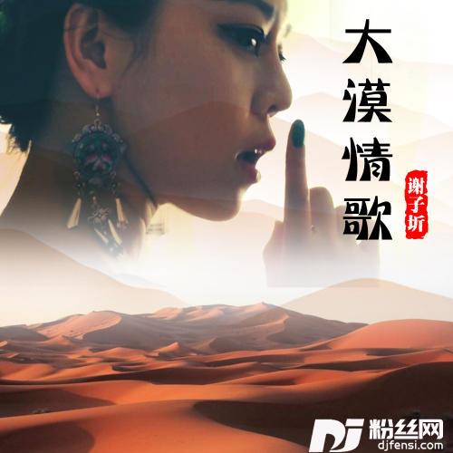 大漠情歌