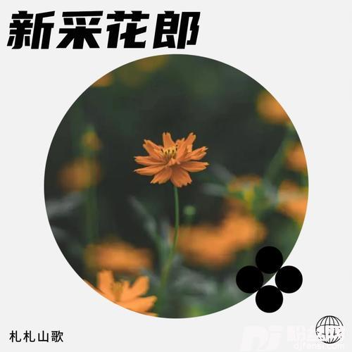哥变蜜蜂绕花来