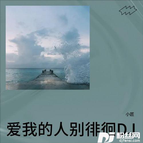 爱我的人别徘徊（DJ版）