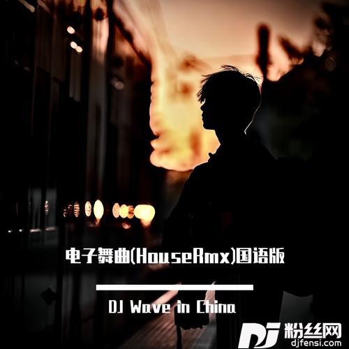 鲸落DJWaveremix