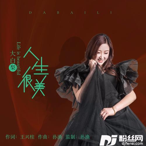 人生很美的专辑