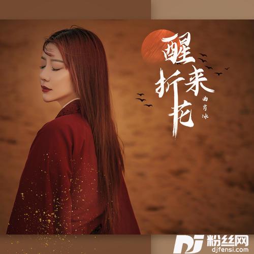 醒来折花的专辑