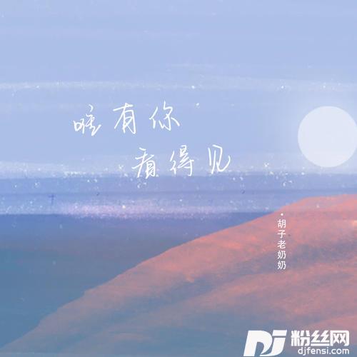 唯有你看得见的专辑
