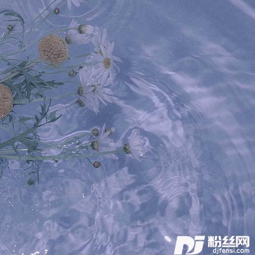 七里香cover:周杰伦的专辑