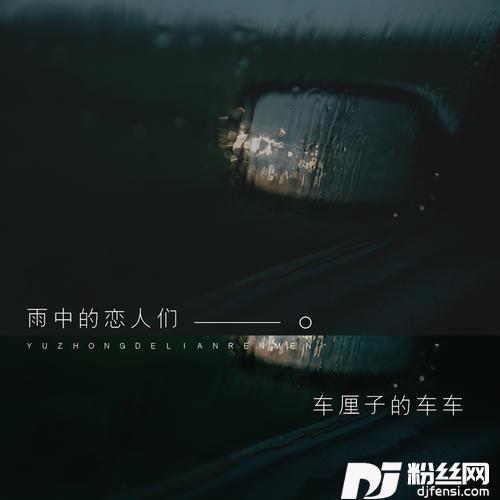 雨中的恋人们的专辑