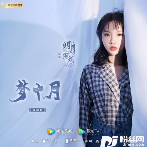 梦中月DJ版的专辑