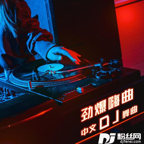 外婆的澎湖湾DJHouse版的专辑