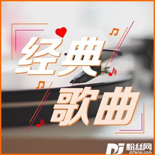 刺猬的专辑