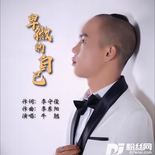卑微的自己（DJ版）的专辑