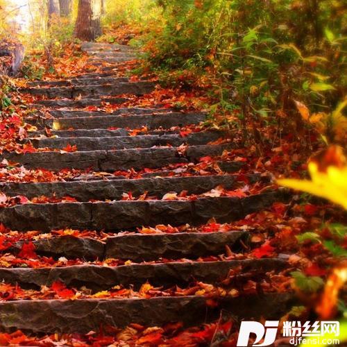 给自己放一天假（DJ何鹍版）