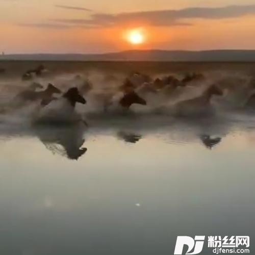 天上的海cover:齐旦布的专辑